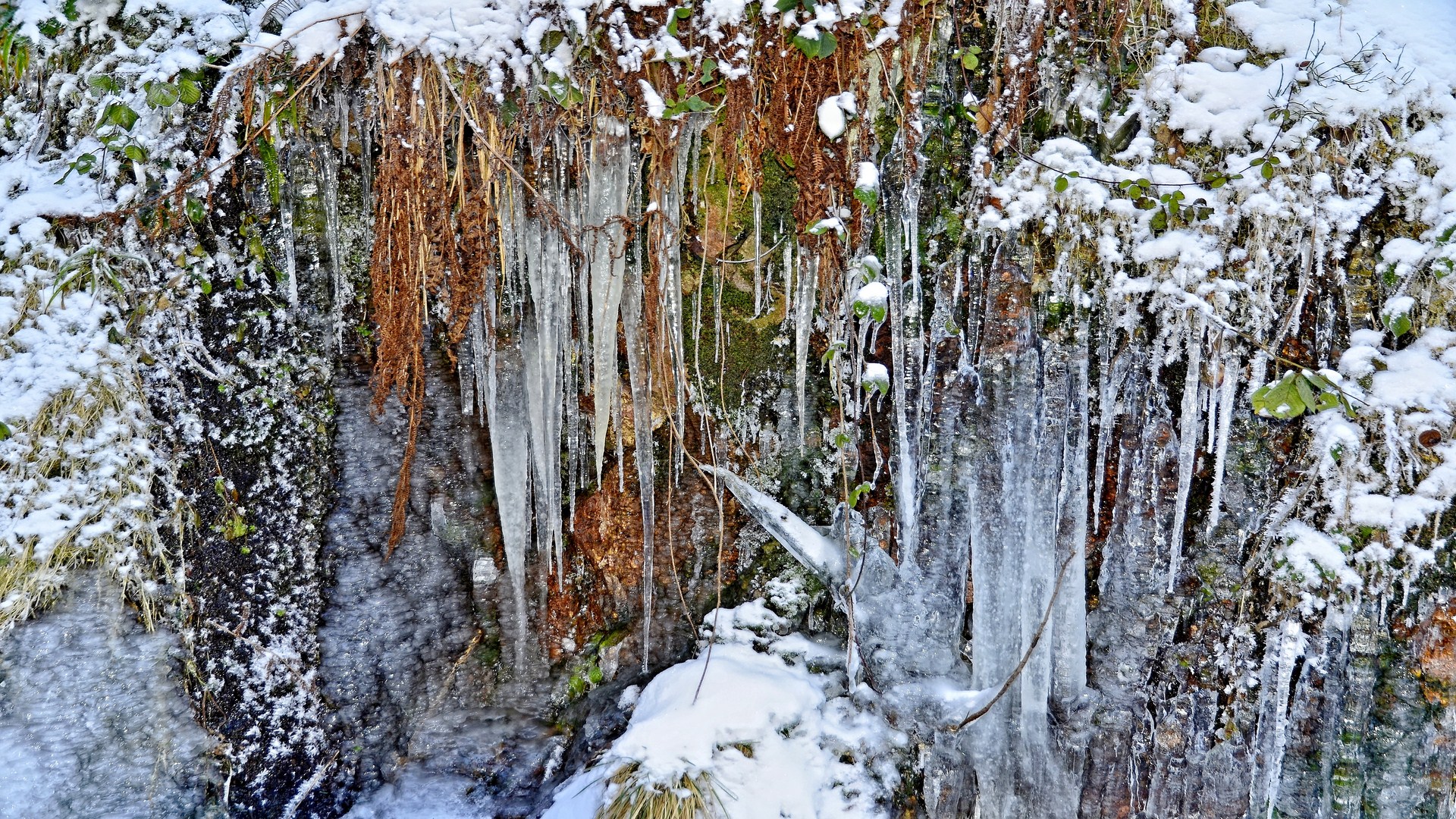 Fonds d'cran Nature Saisons - Hiver 