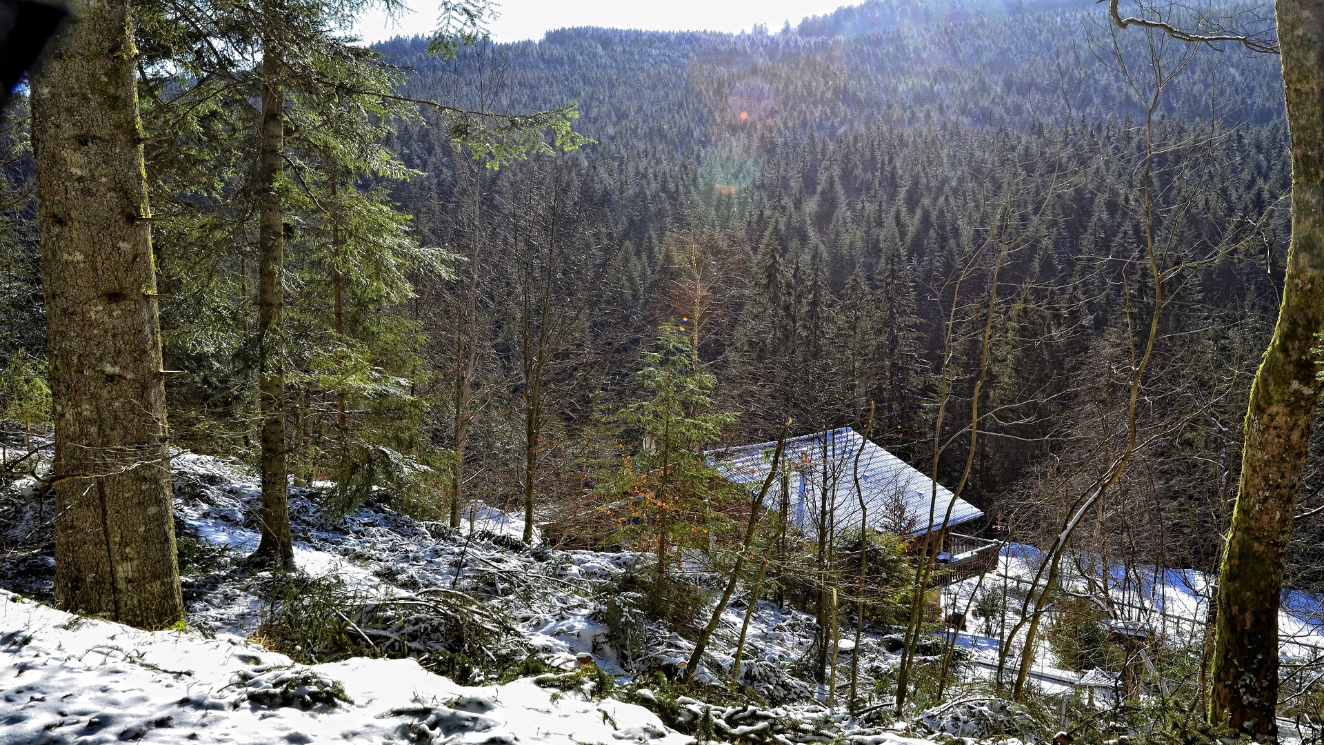 Fonds d'cran Nature Saisons - Hiver 