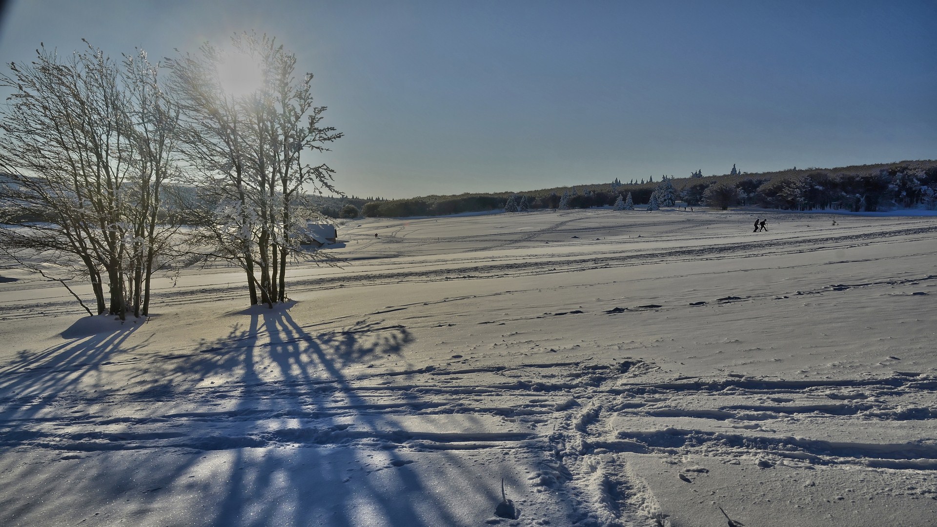 Wallpapers Nature Saisons - Winter 