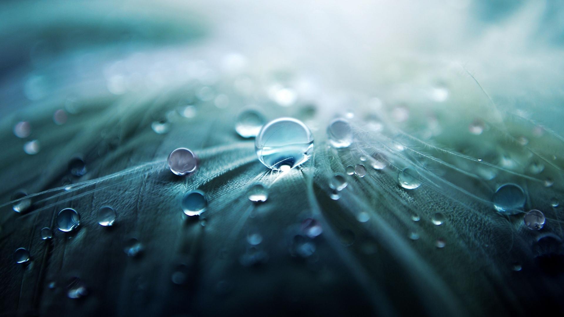 Wallpapers Nature Water - Drops 