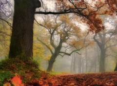  Nature Impressions d'automne 2012-2