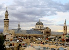  Trips : Asia paysages-damascus