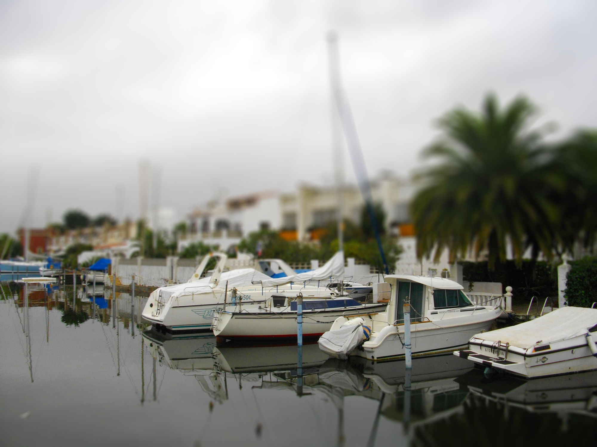 Fonds d'cran Bateaux Bateaux  moteur les bateaux