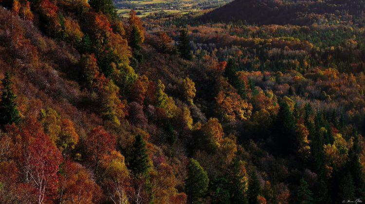 Wallpapers Trips : Europ France > Auvergne La Fin d'un Règne