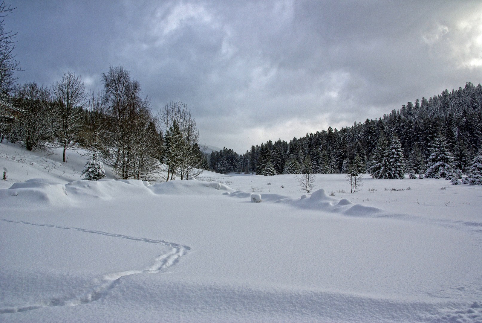 Fonds d'cran Nature Saisons - Hiver 