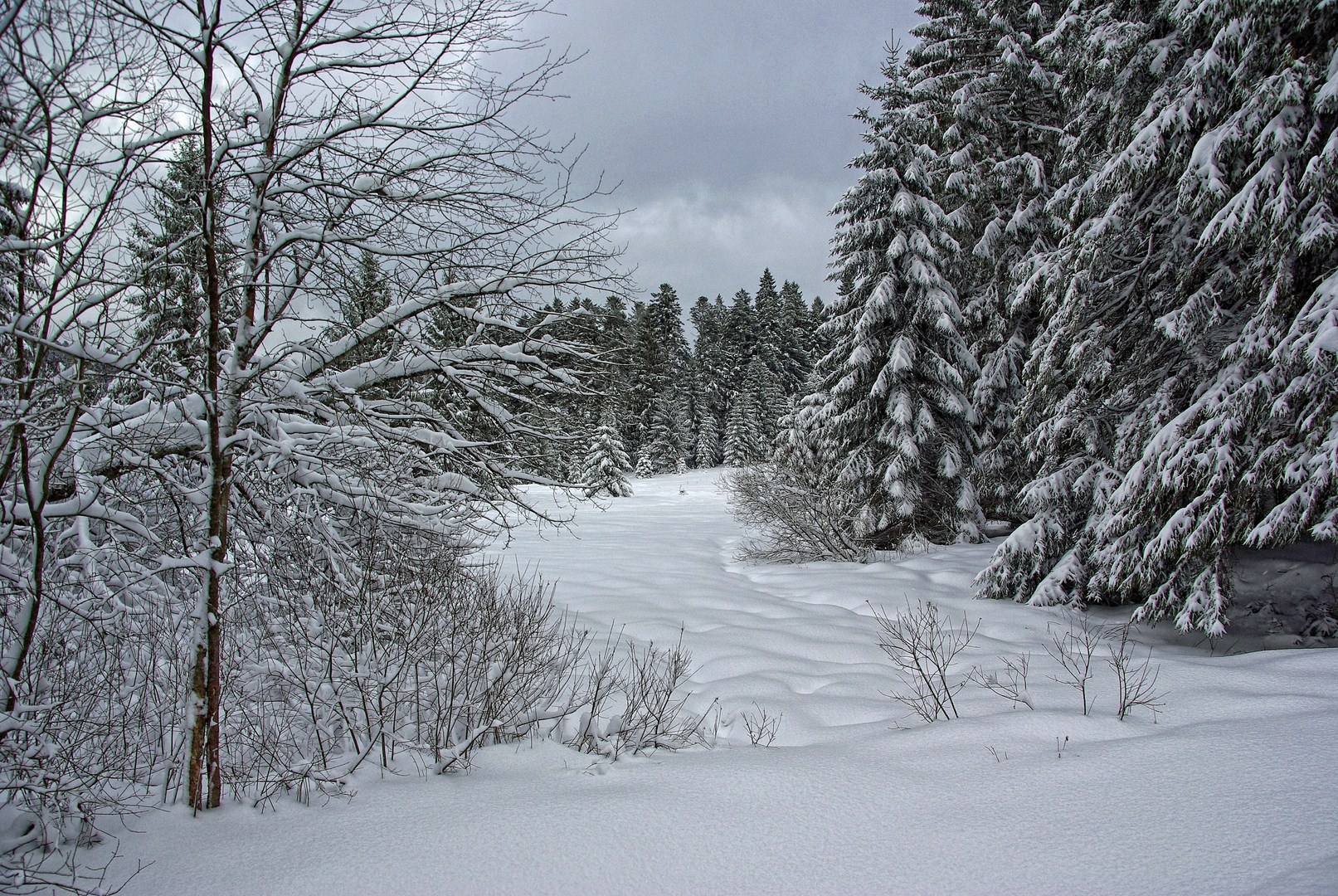 Wallpapers Nature Saisons - Winter 