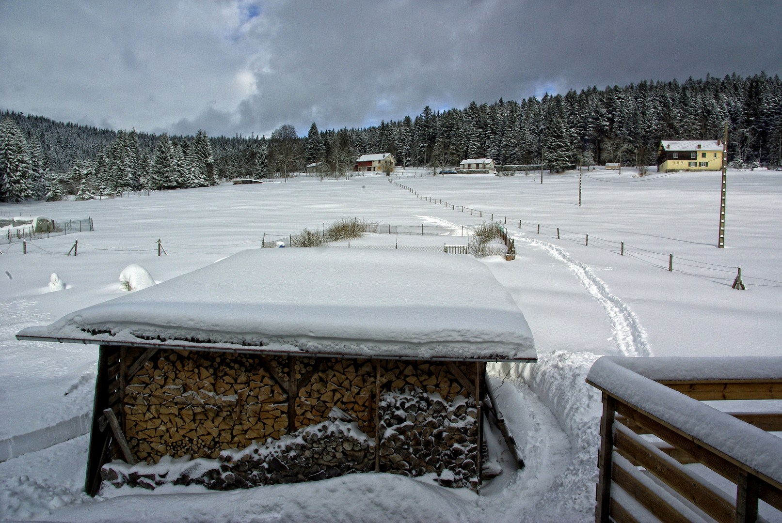 Wallpapers Nature Saisons - Winter 