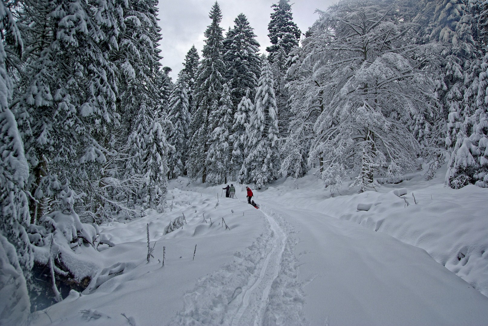 Fonds d'cran Nature Saisons - Hiver 