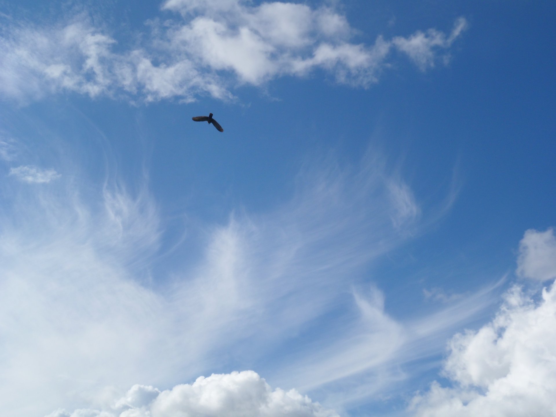 Wallpapers Nature Skies - Clouds Dans le vent