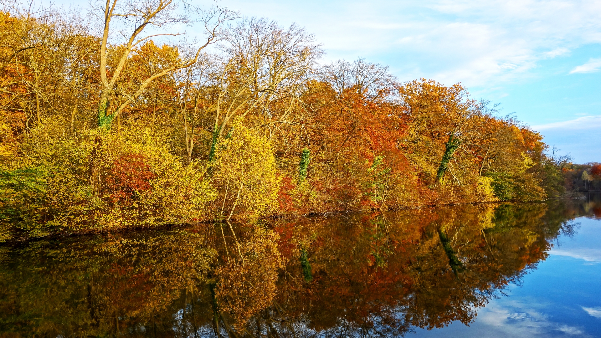 Wallpapers Nature Lakes - Ponds Reflets