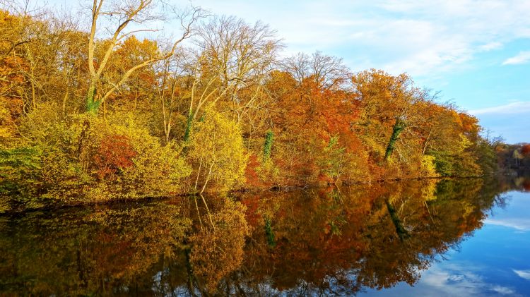 Fonds d'cran Nature Lacs - Etangs Reflets