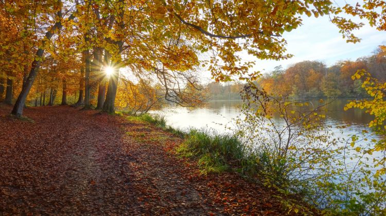 Fonds d'cran Nature Saisons - Automne Soleil automnal