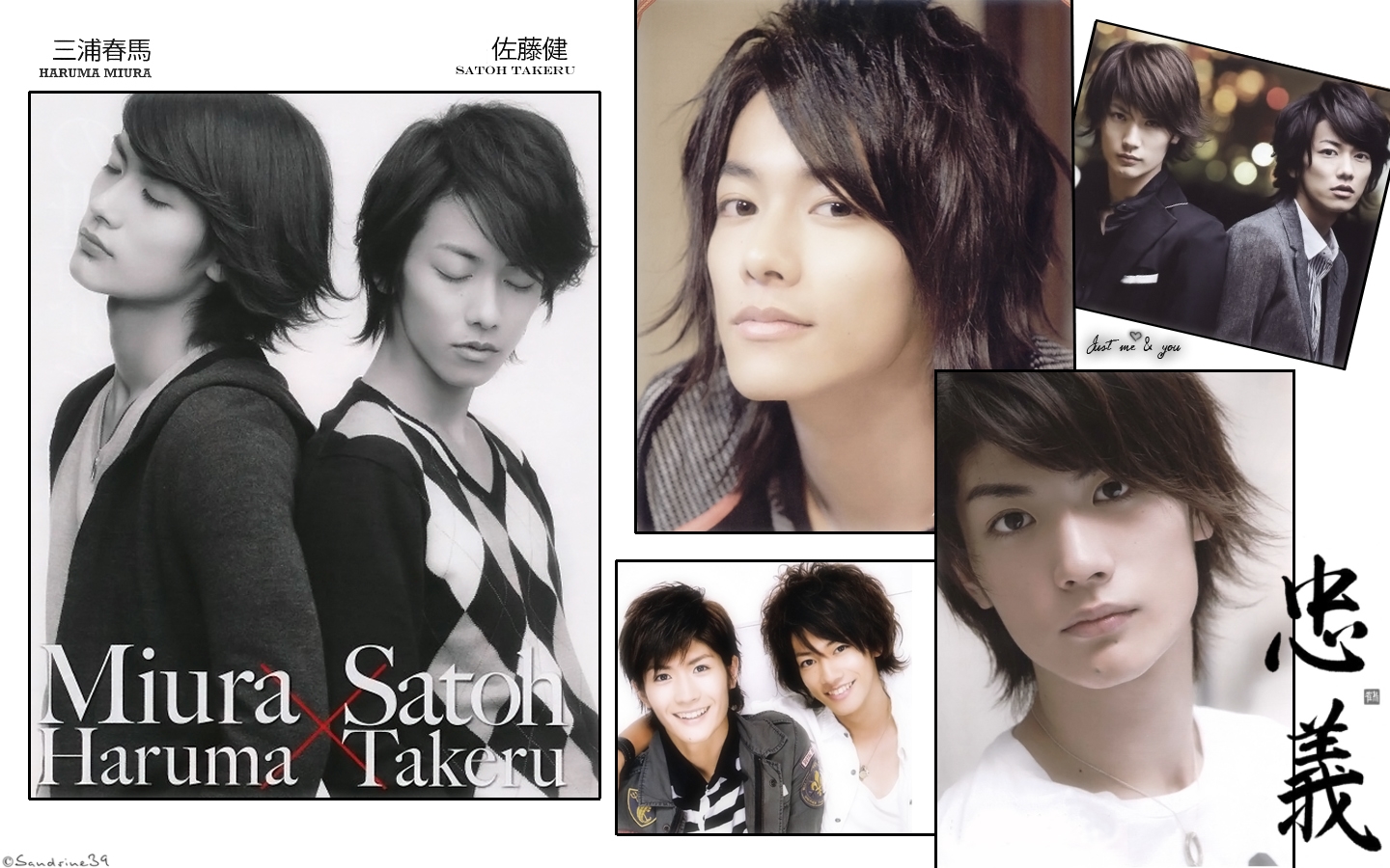 Wallpapers Celebrities Men Miura Haruma  Miura Haruma et Satoh Takeru