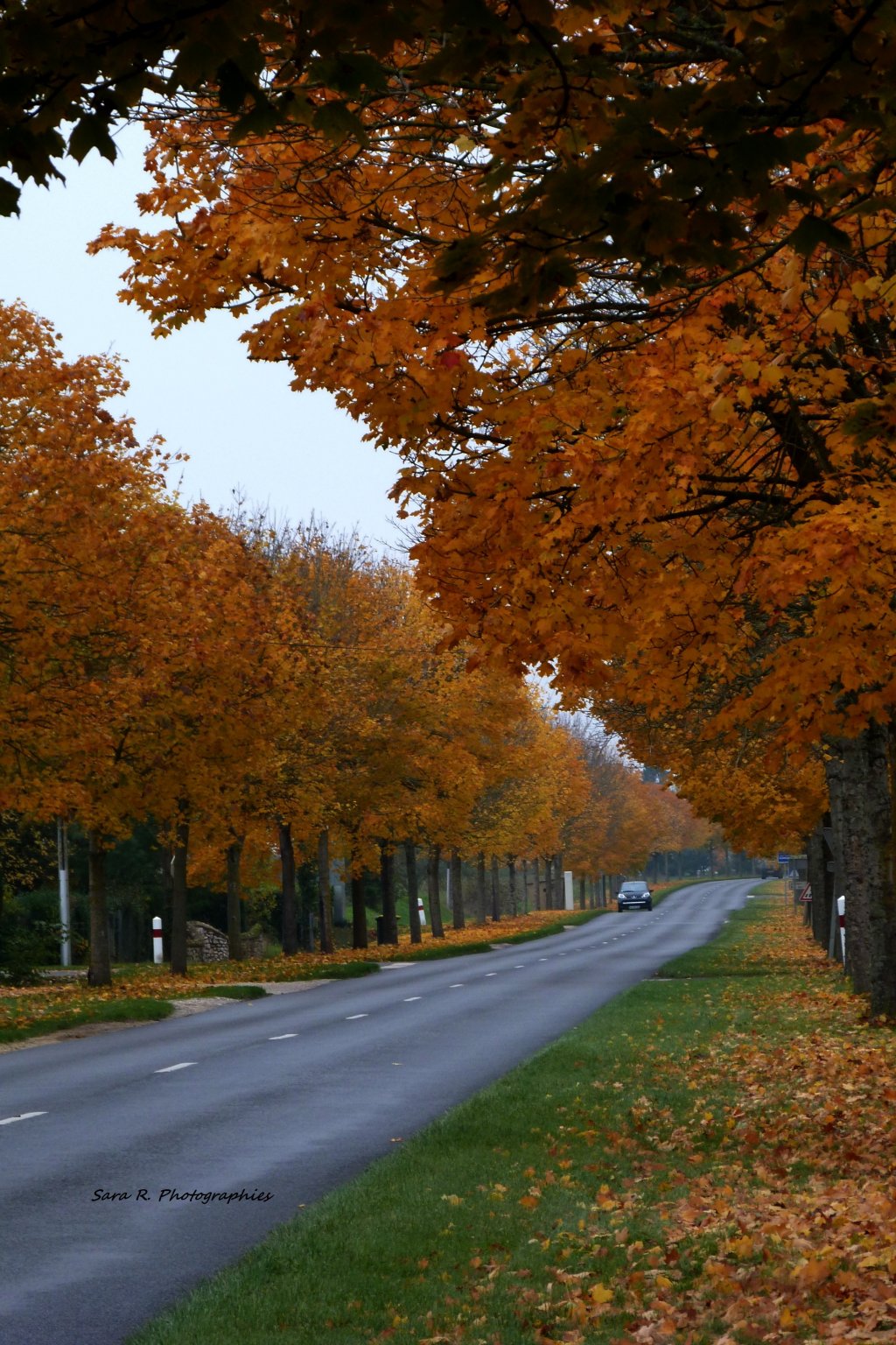 Wallpapers Constructions and architecture Roads - Motorways Après l'automne vient l'hivers. 