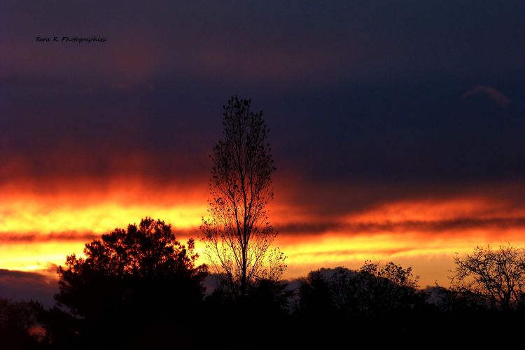 Fonds d'cran Nature Couchers et levers de Soleil Le ciel d'hivers... 