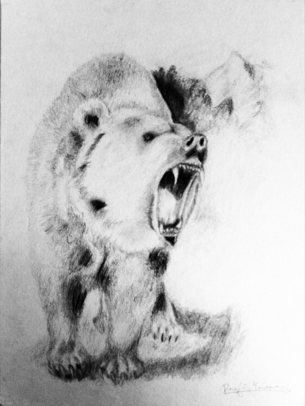 Fonds d'cran Art - Crayon Animaux - Ours 