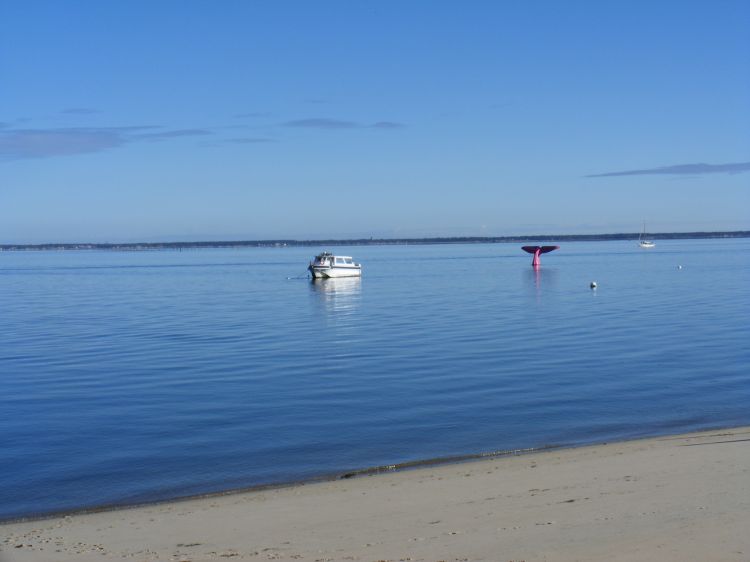 Fonds d'cran Nature Mers - Ocans - Plages Vue sur le bassin