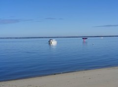  Nature Vue sur le bassin