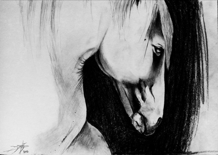 Wallpapers Art - Pencil Animals - Horses pégase