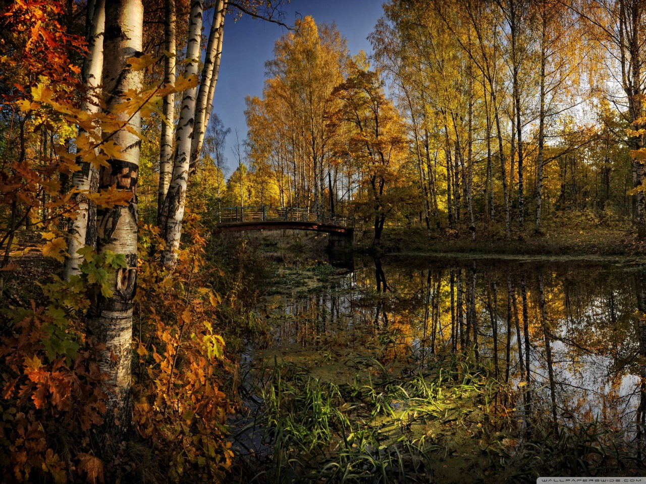 Fonds d'cran Nature Saisons - Automne 