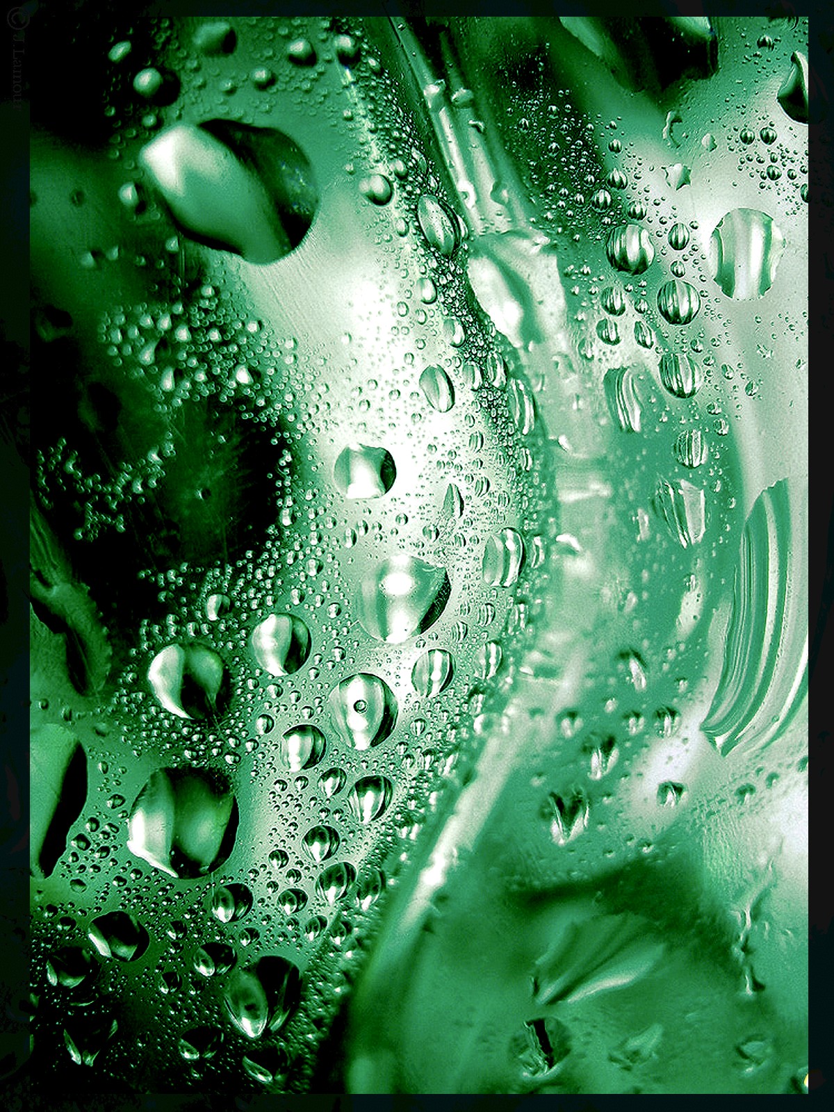 Wallpapers Nature Water - Drops Goutes d'eau