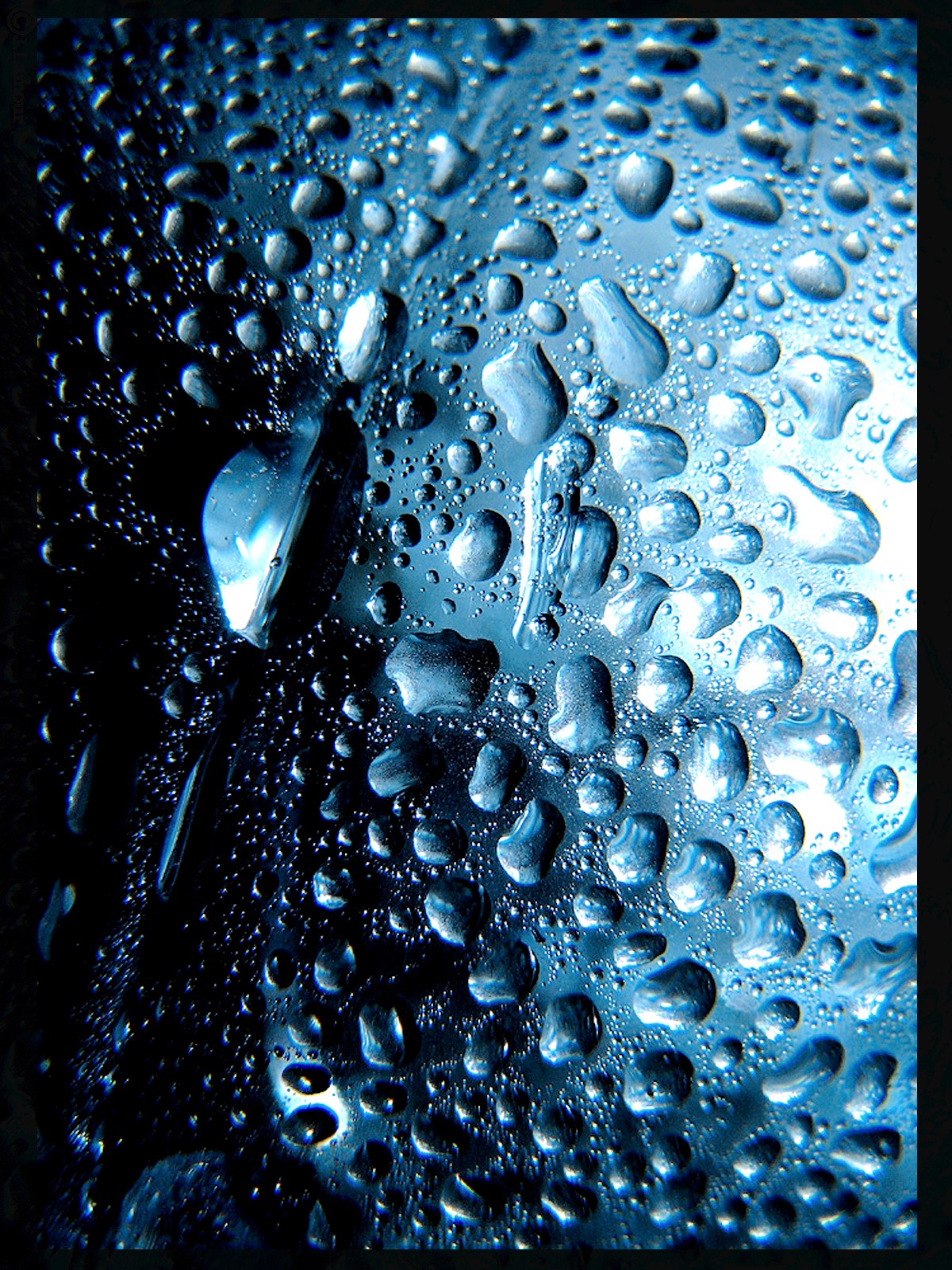 Wallpapers Nature Water - Drops Goutes d'eau