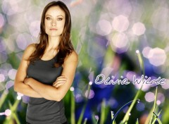  Celebrities Women Olivia Wilde