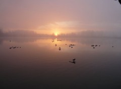  Nature chasse  la hutte