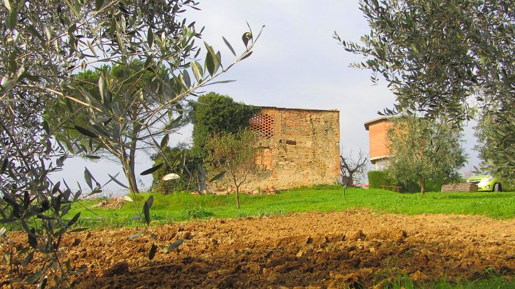 Fonds d'cran Voyages : Europe Italie la toscane