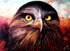  Art - Painting eagle eyes