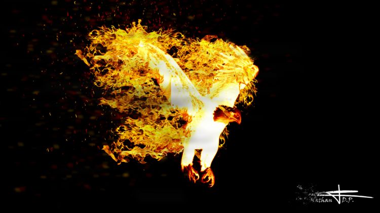 Wallpapers Digital Art Animals Fire Eagle