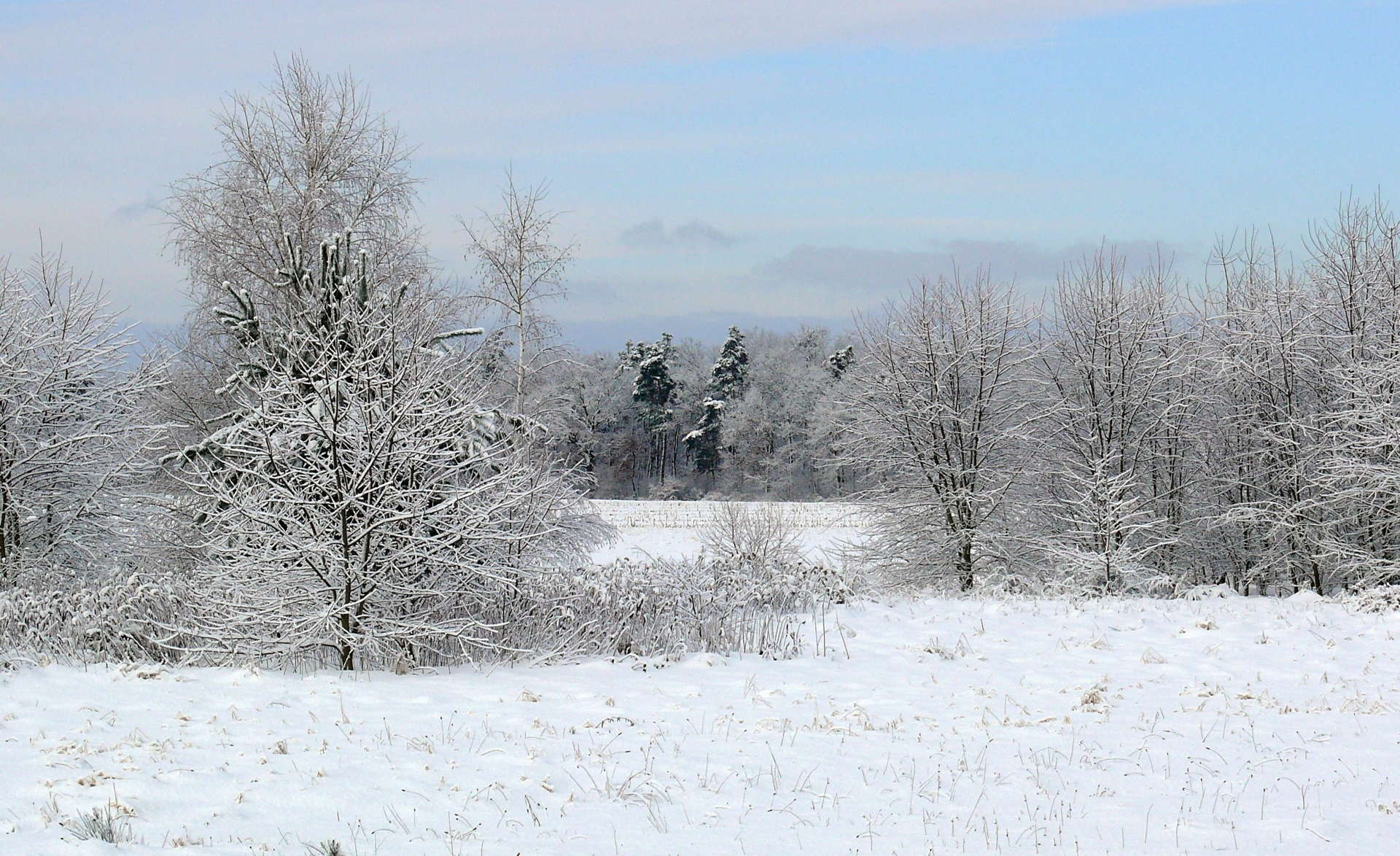 Wallpapers Nature Saisons - Winter 