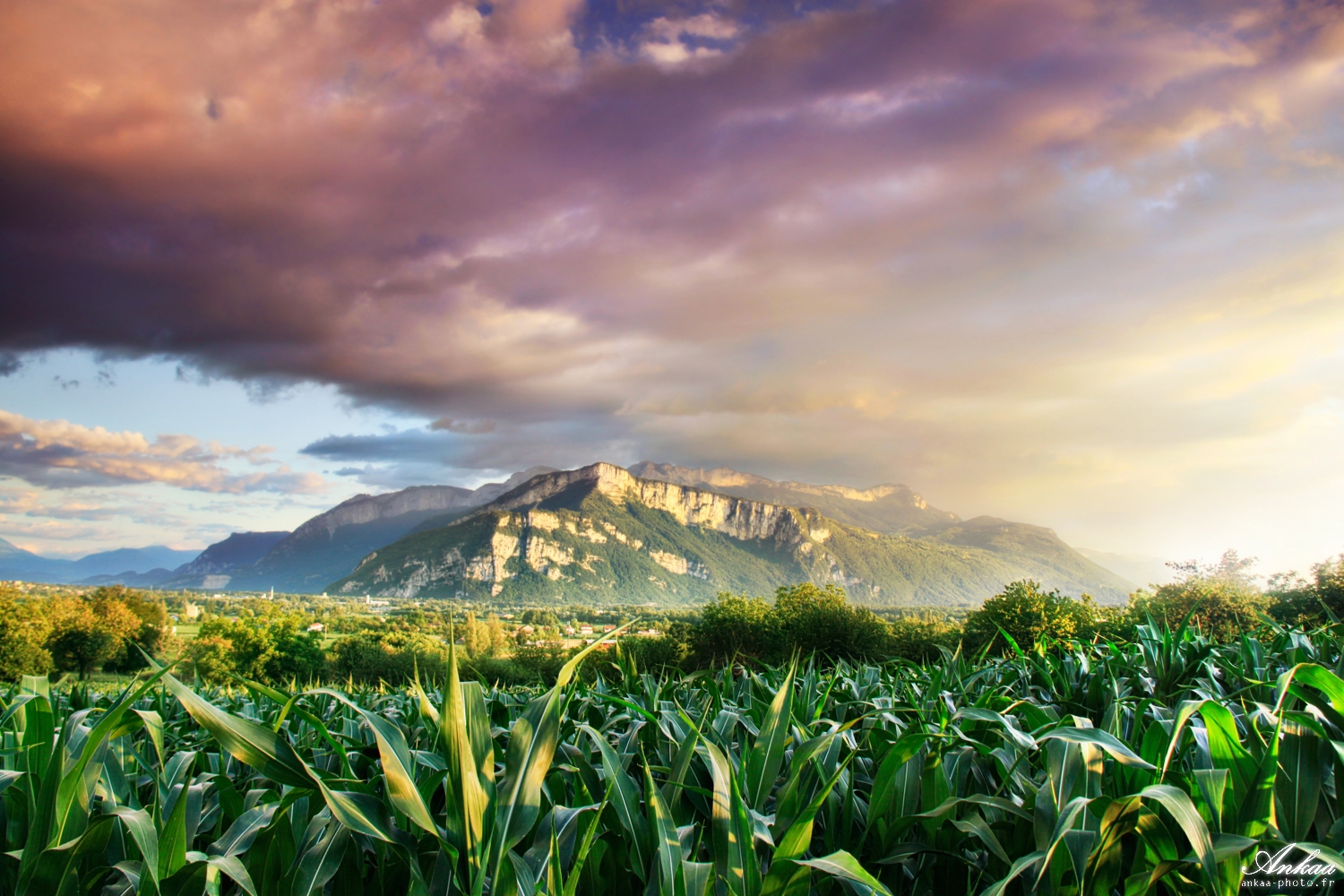 Fonds d'cran Nature Campagne Ma valle