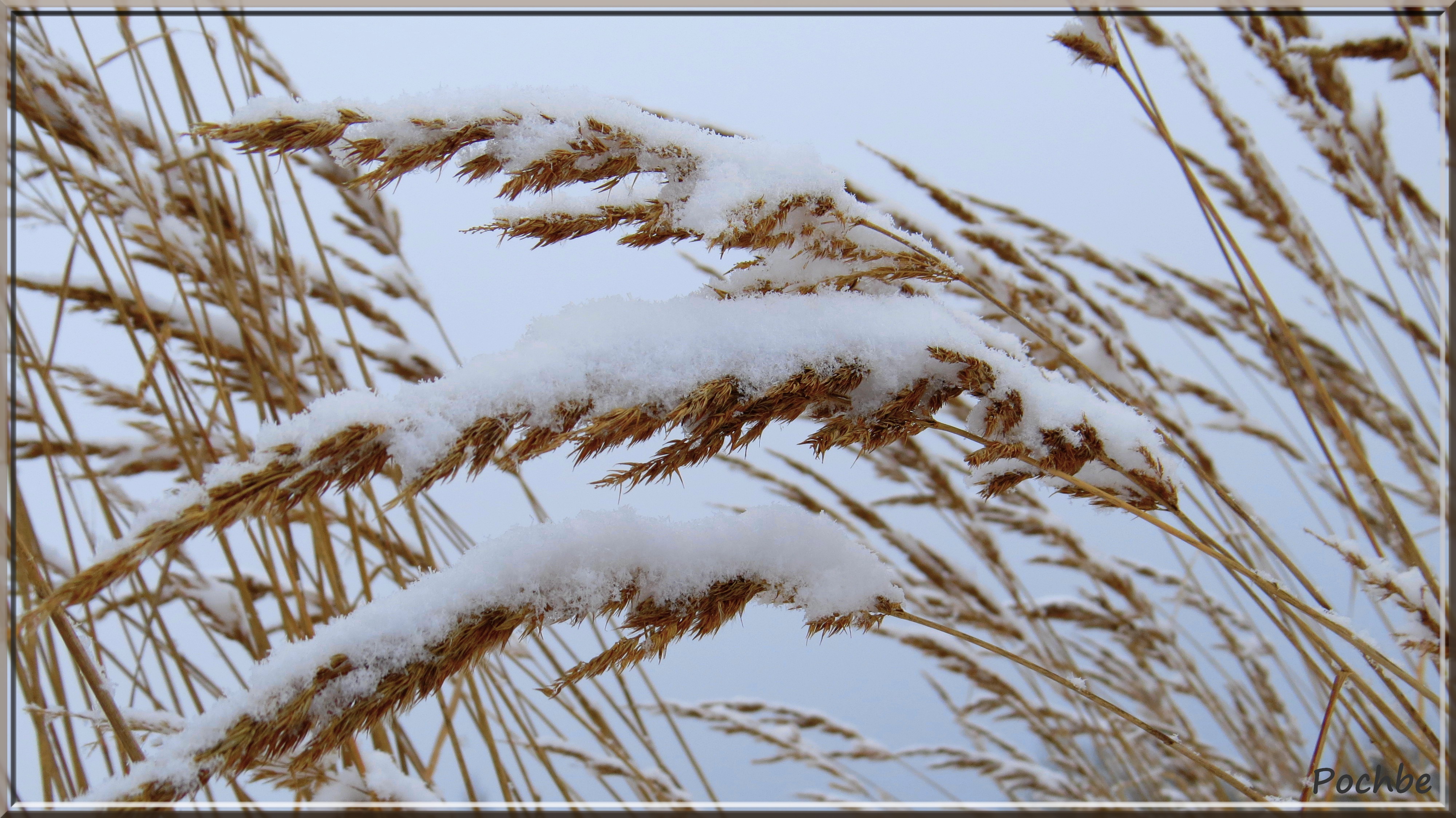 Fonds d'cran Nature Saisons - Hiver 