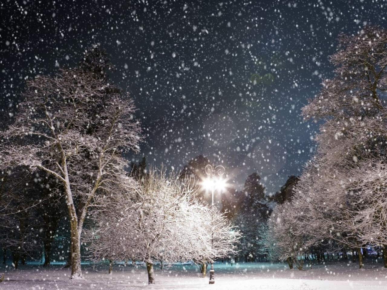 Fonds d'cran Nature Saisons - Hiver 