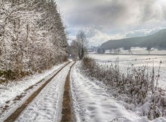  Nature encore le début de la neige