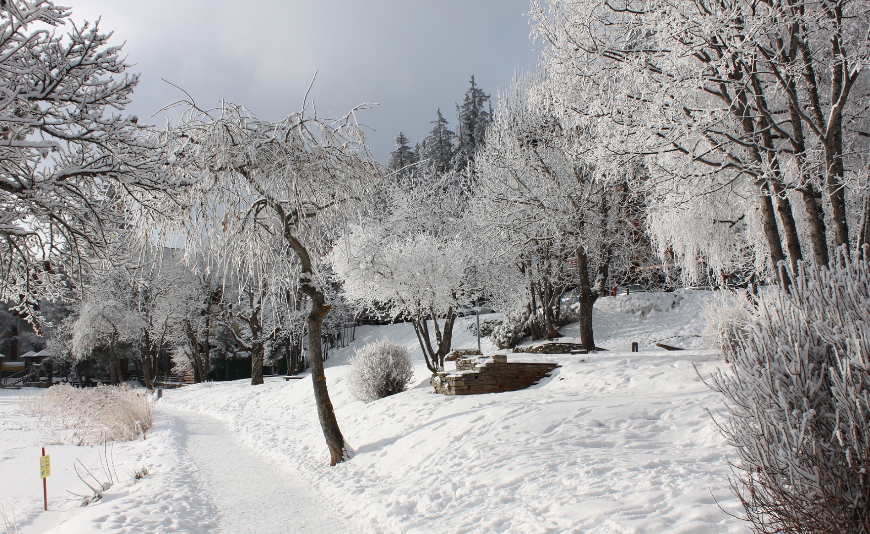 Fonds d'cran Nature Saisons - Hiver Nature