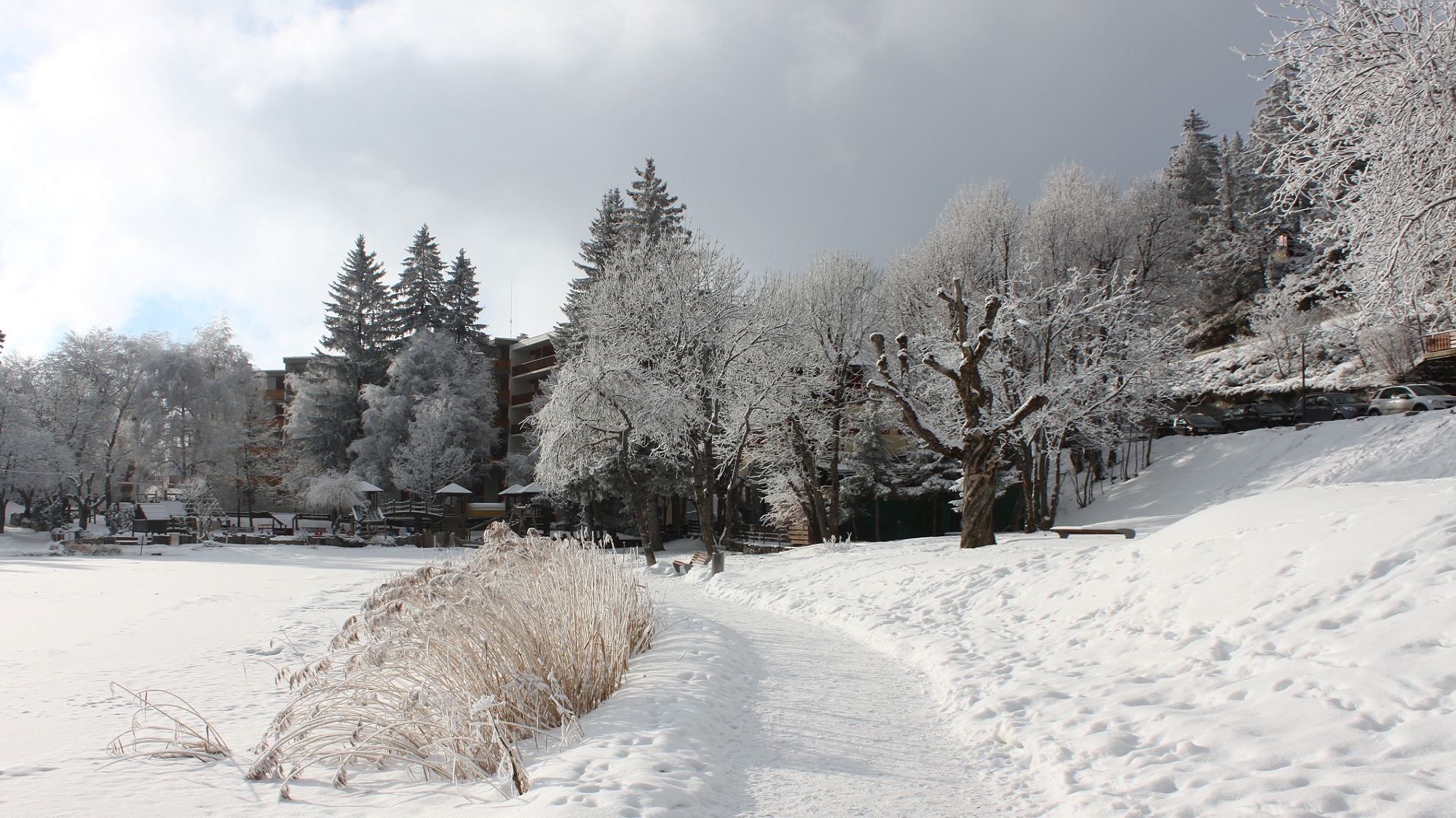 Fonds d'cran Nature Saisons - Hiver Nature