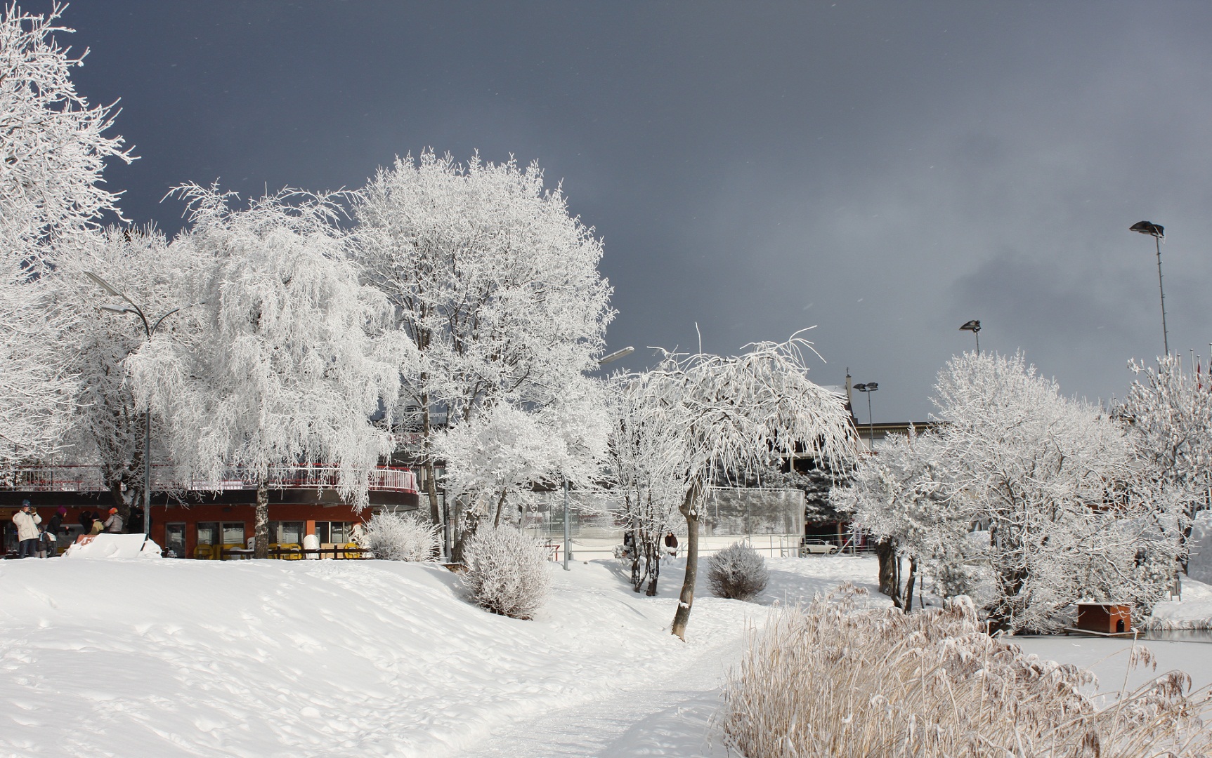 Wallpapers Nature Saisons - Winter Nature