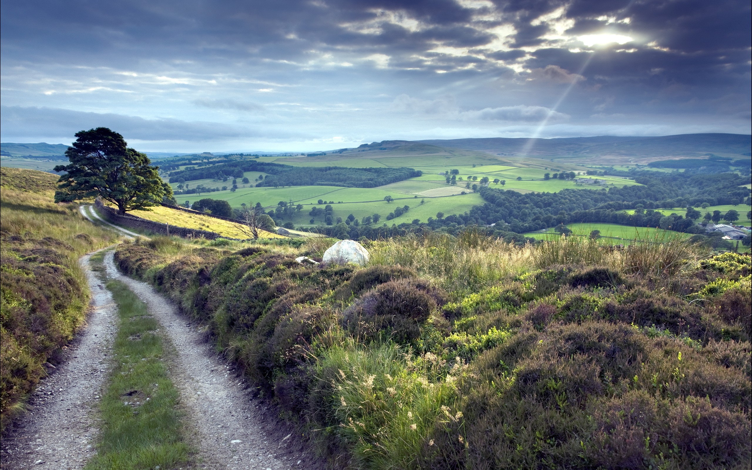 Wallpapers Nature Paths 