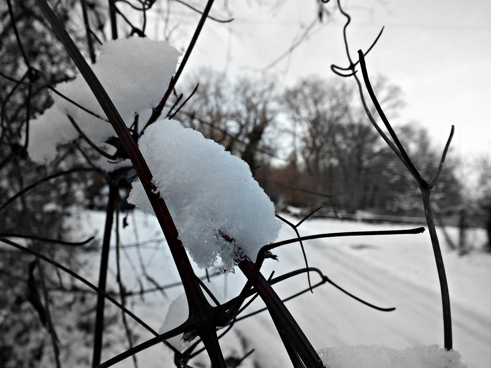 Wallpapers Nature Saisons - Winter 