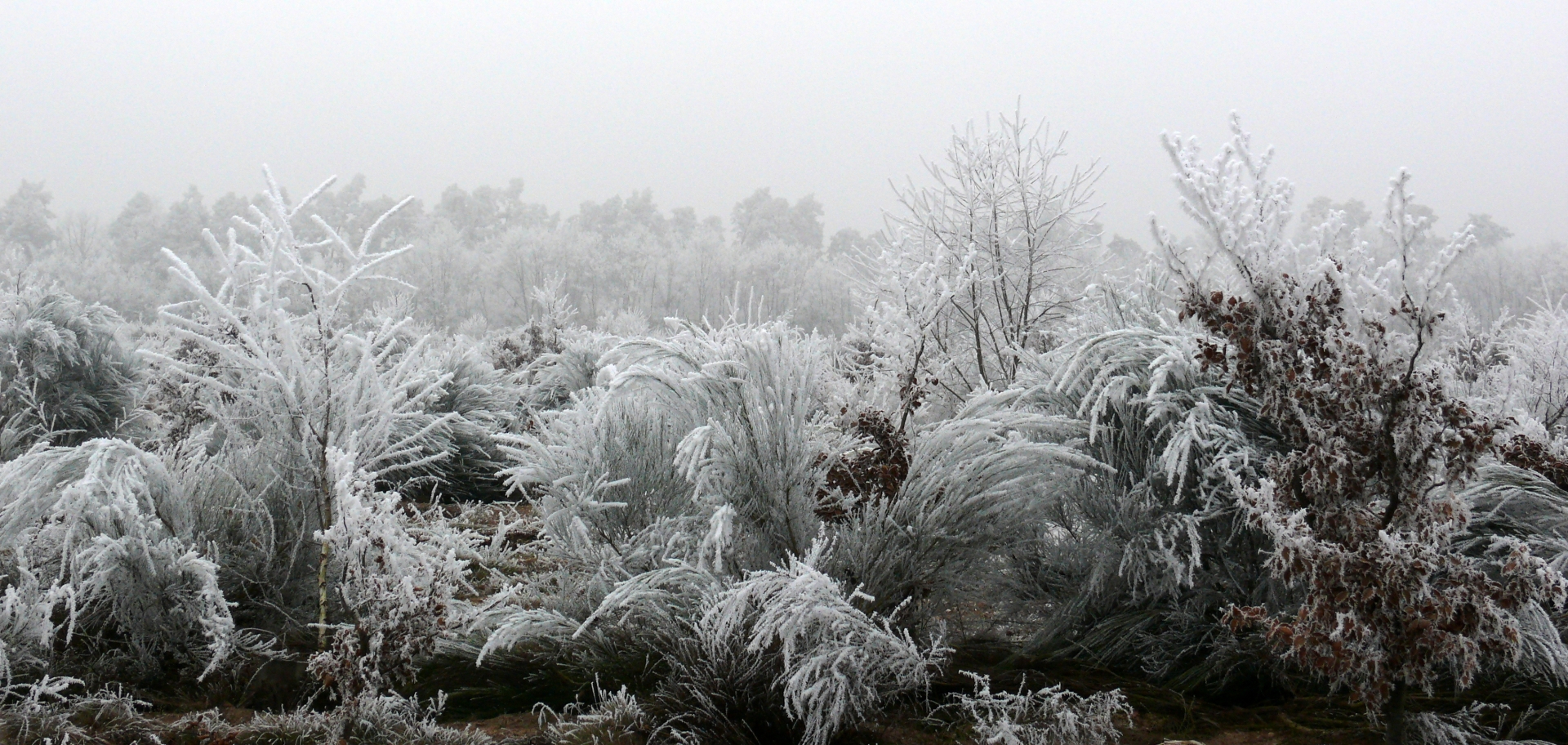 Wallpapers Nature Saisons - Winter 