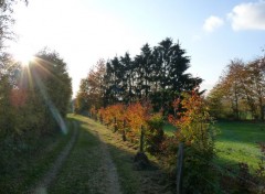  Nature Automne à Izier (Belgique)