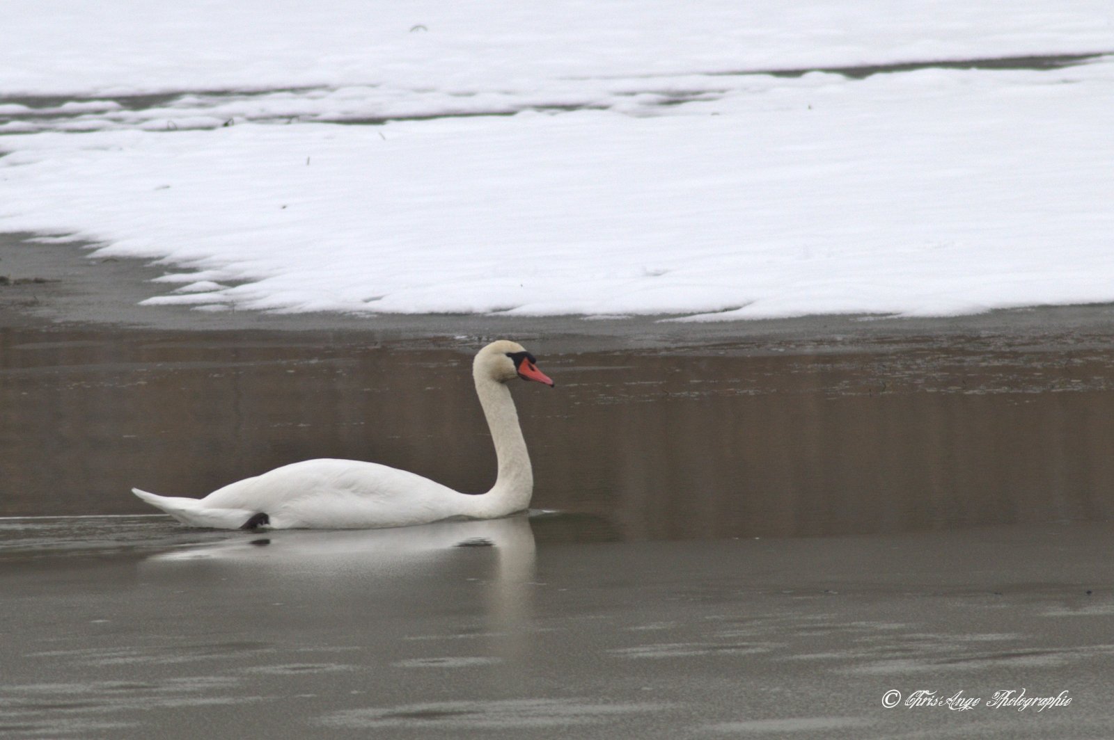 Wallpapers Nature Saisons - Winter l'hiver