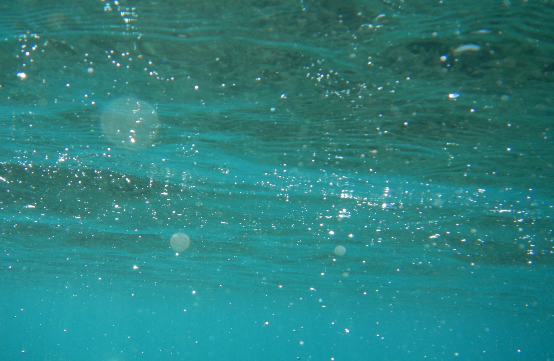 Fonds d'cran Nature Mers - Ocans - Plages L'ocan vu d'en dessous