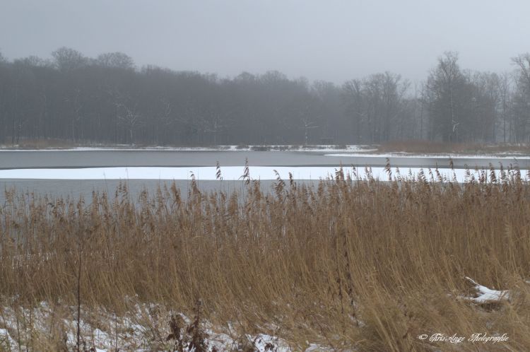 Fonds d'cran Nature Saisons - Hiver l'hiver