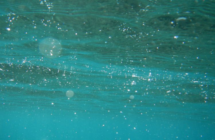 Fonds d'cran Nature Mers - Ocans - Plages L'ocan vu d'en dessous