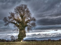  Nature presque la fin du monde ........