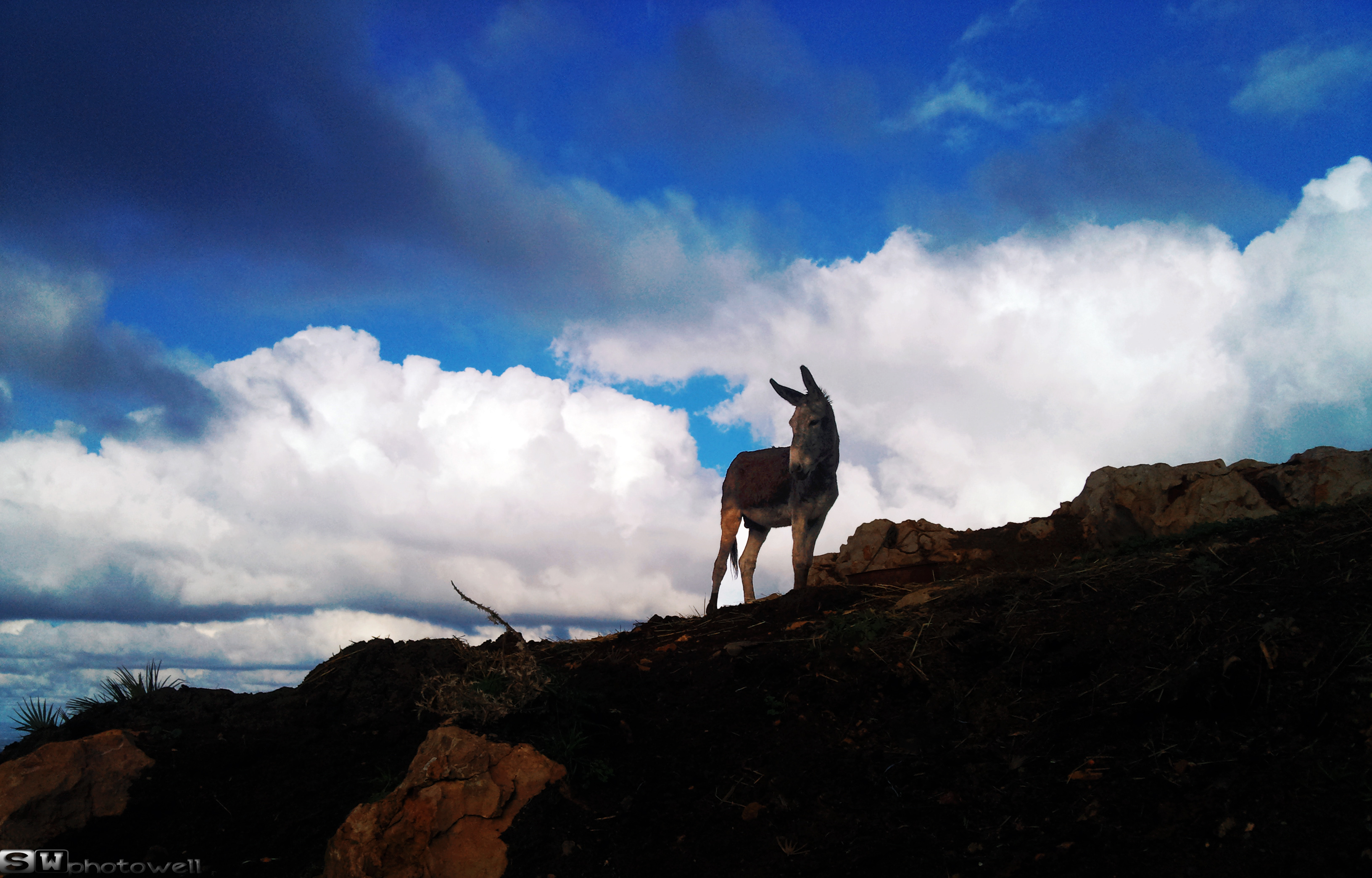 Fonds d'cran Nature Ciel - Nuages 