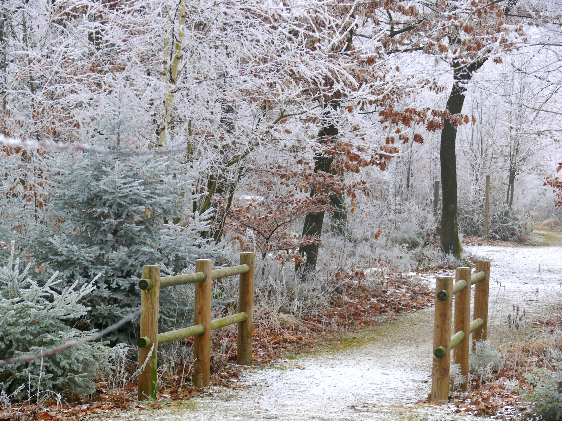 Fonds d'cran Nature Saisons - Hiver 